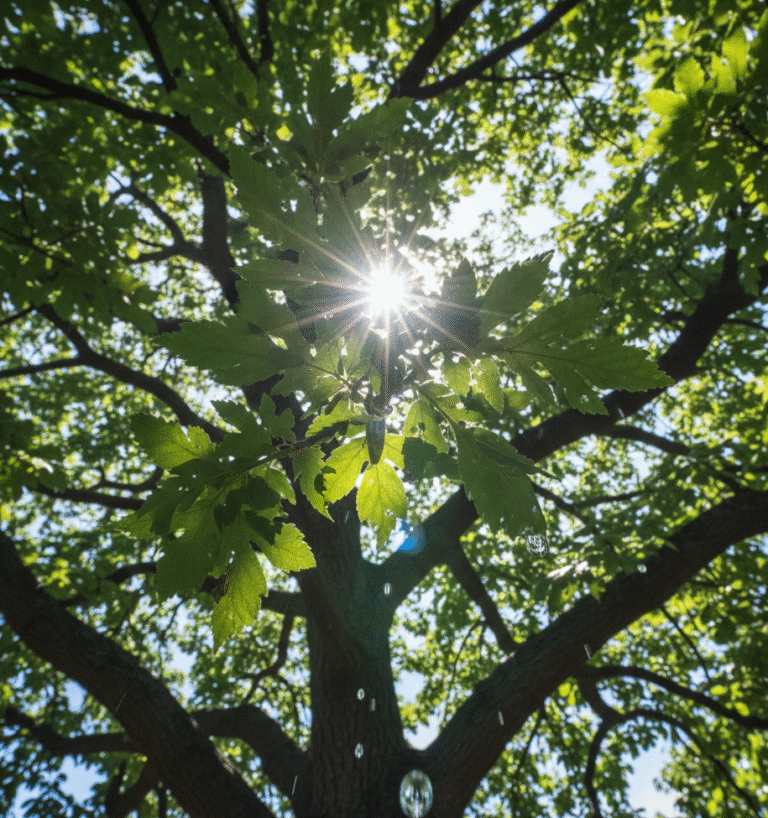 🌳 Der Systemische Beratung Unterschied: 7 Punkte, die wirklich zählen 6 🌳 Der Systemische Beratung Unterschied: 7 Punkte, die wirklich zählen