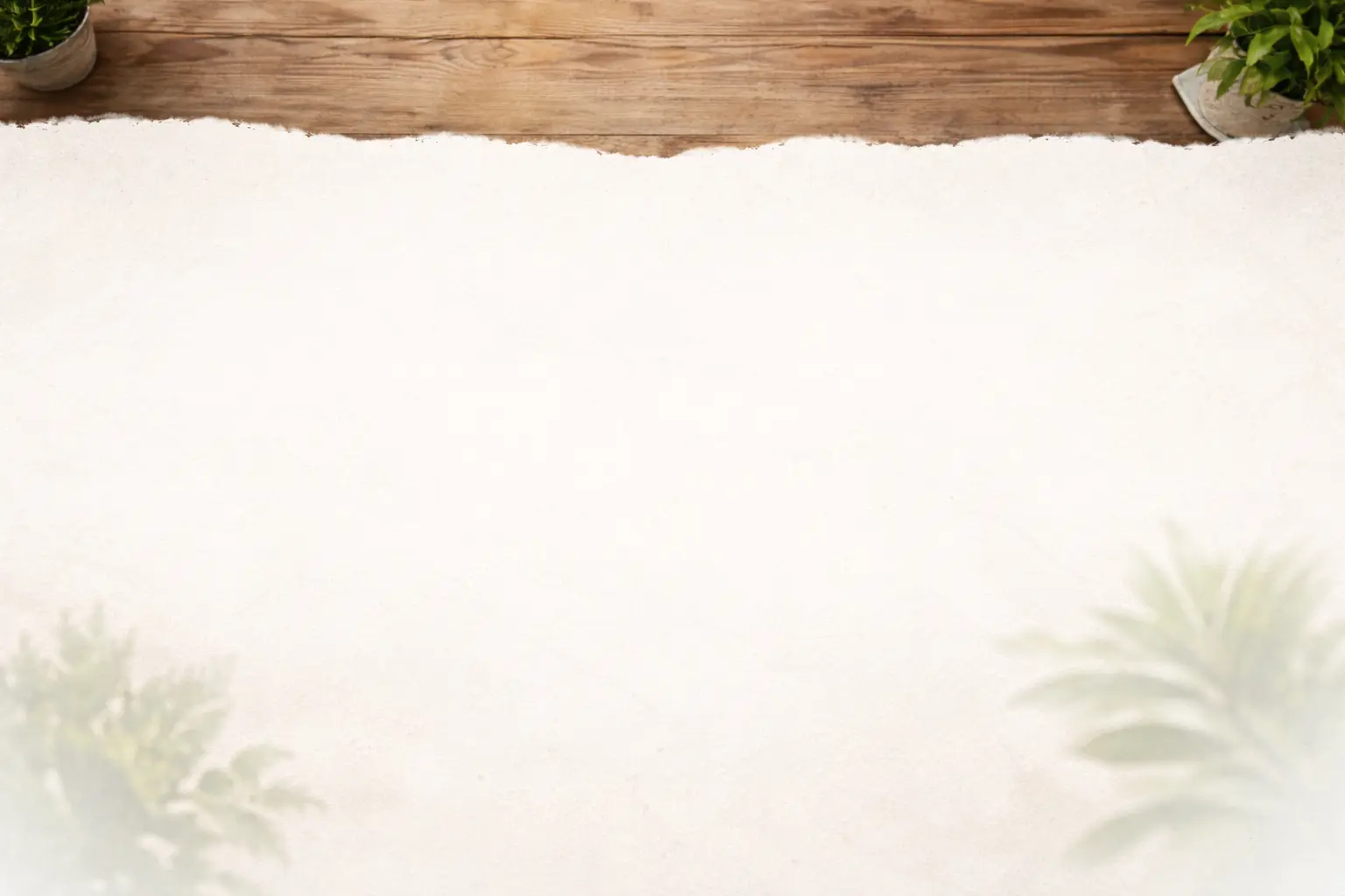 Heilpraktiker Nürnberg – Praxis Meistereck