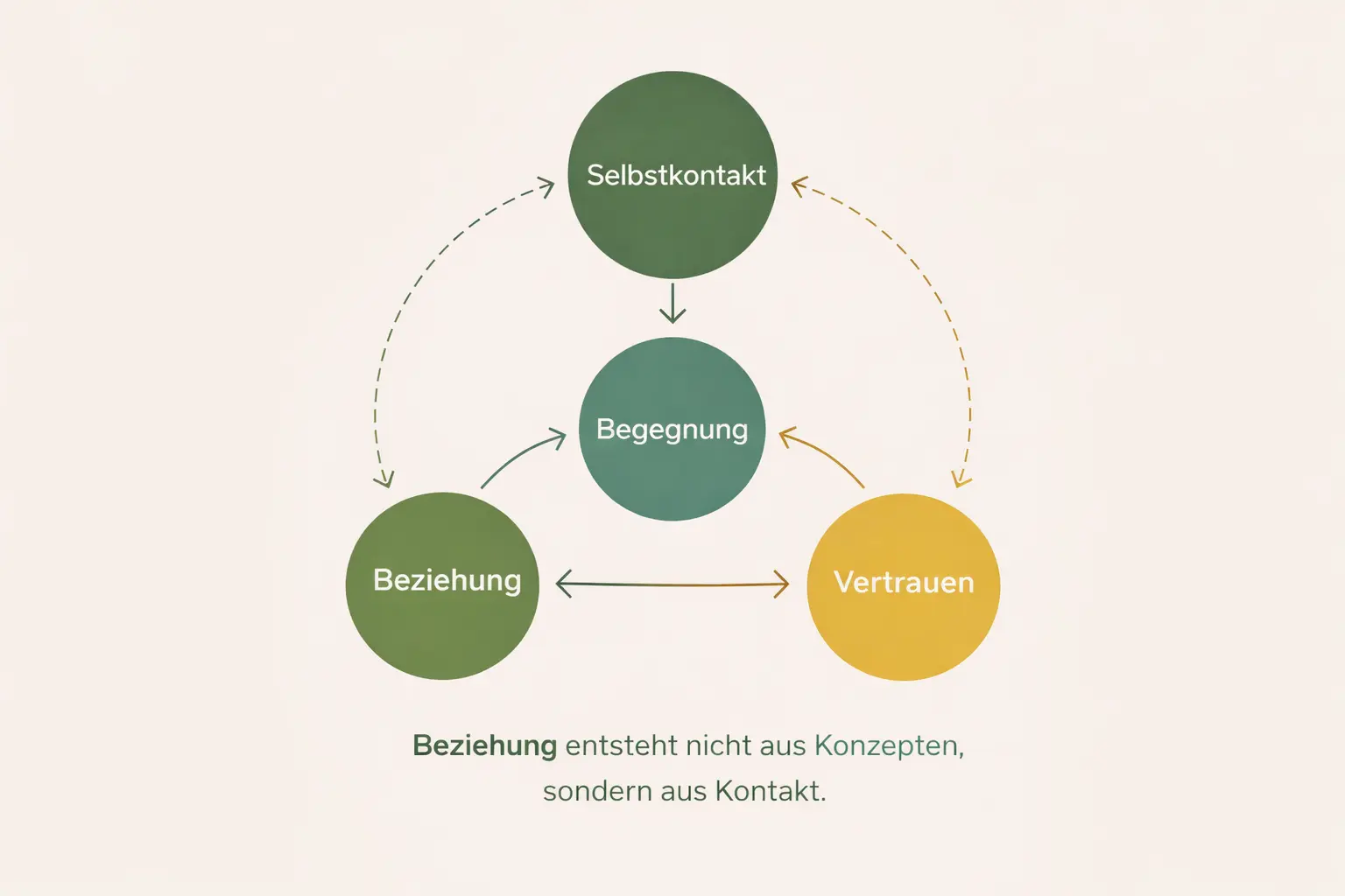 Infografik Beziehungsdynamik Kontakt Entstehung Verbindung Kennenlernen Prozess